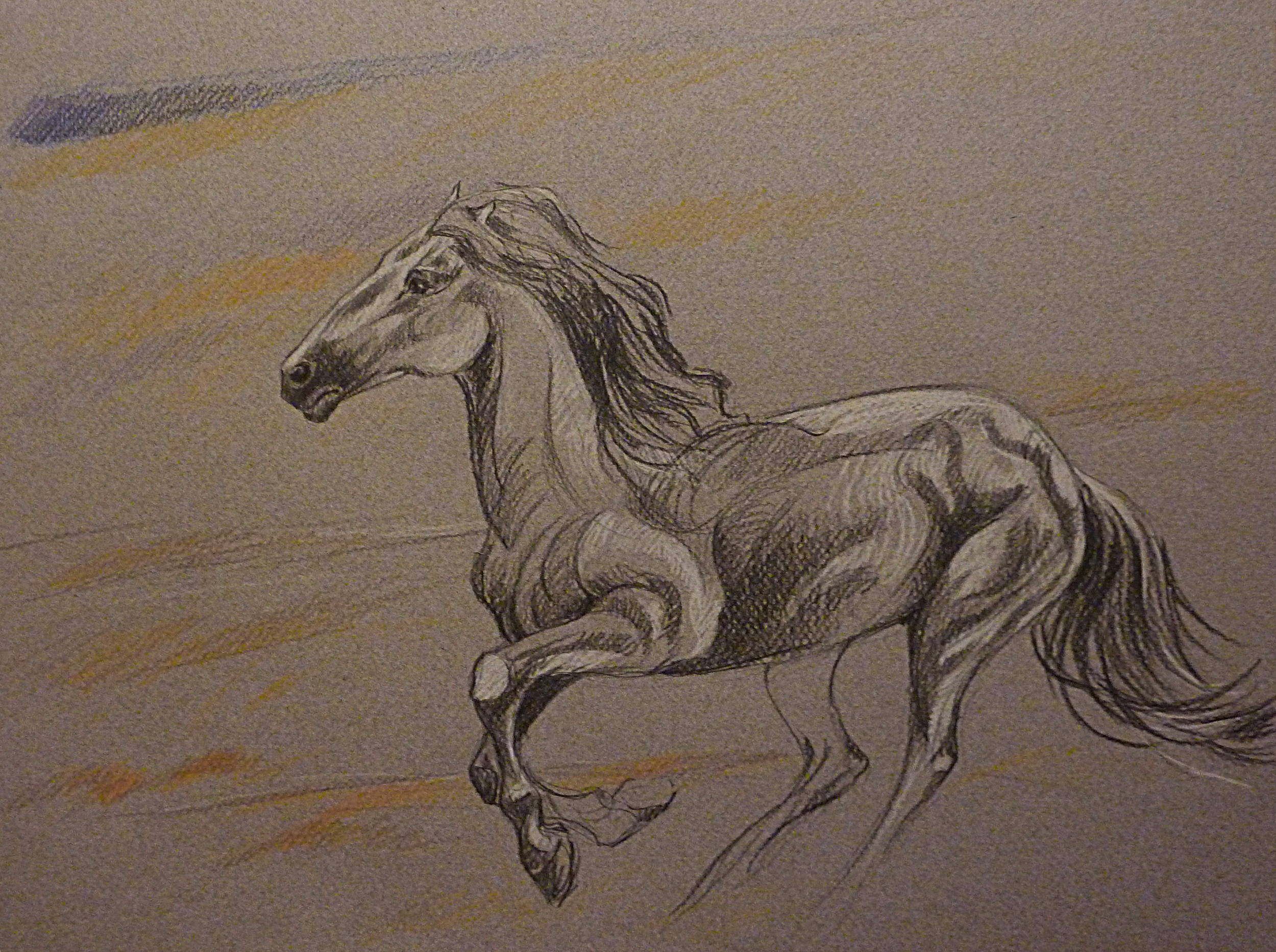 NOTHING ON MY BACK BUT THE WIND