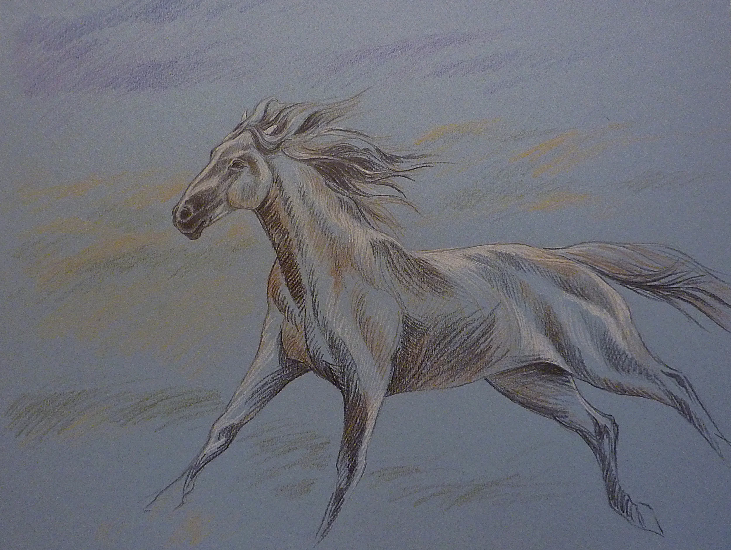 I HAVE THE POWER TO FLY AWAY