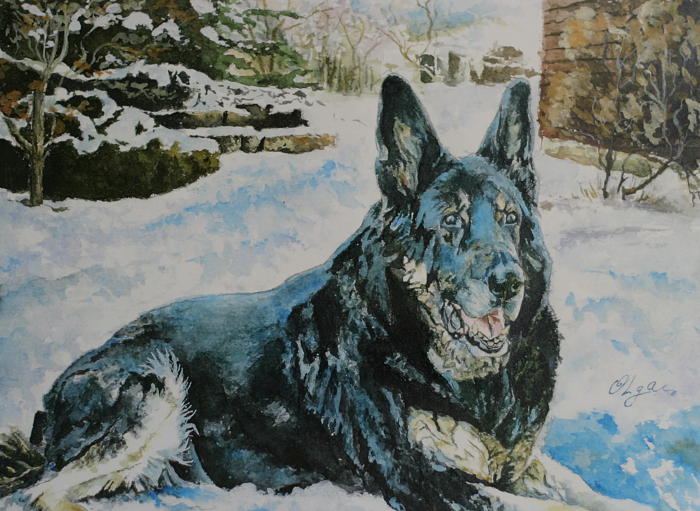 SNOW ROMP