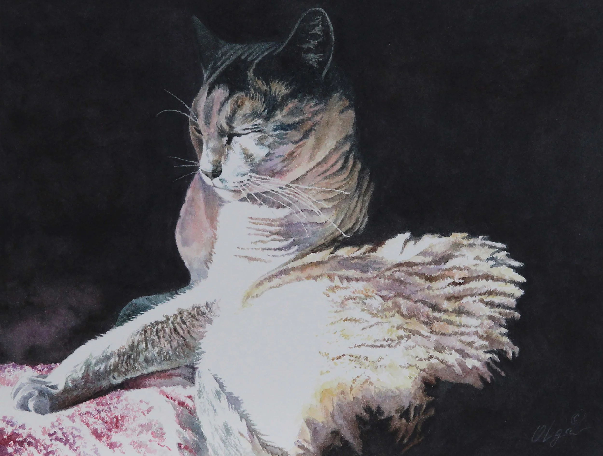 SIMON OF LIGHT AND DARK