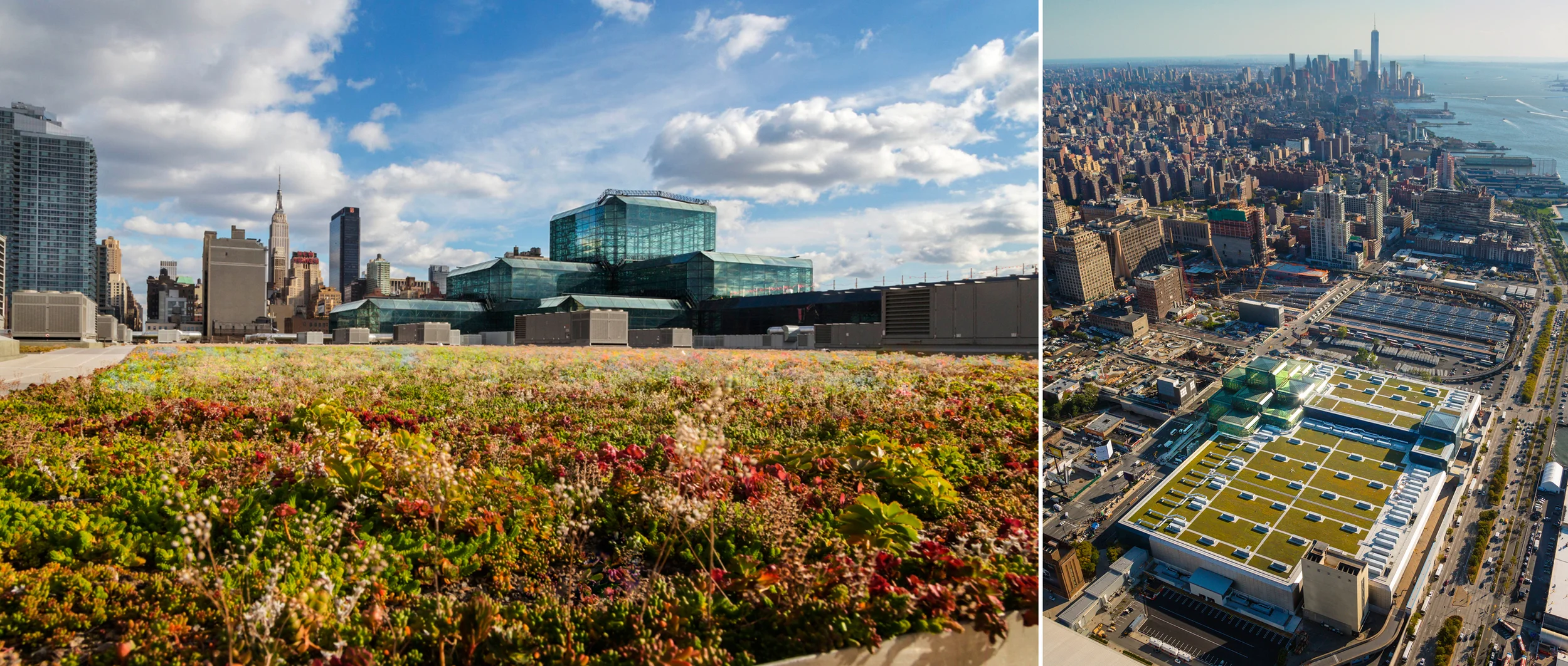 Javits Center Renovation New York, NY FxFowle Architects