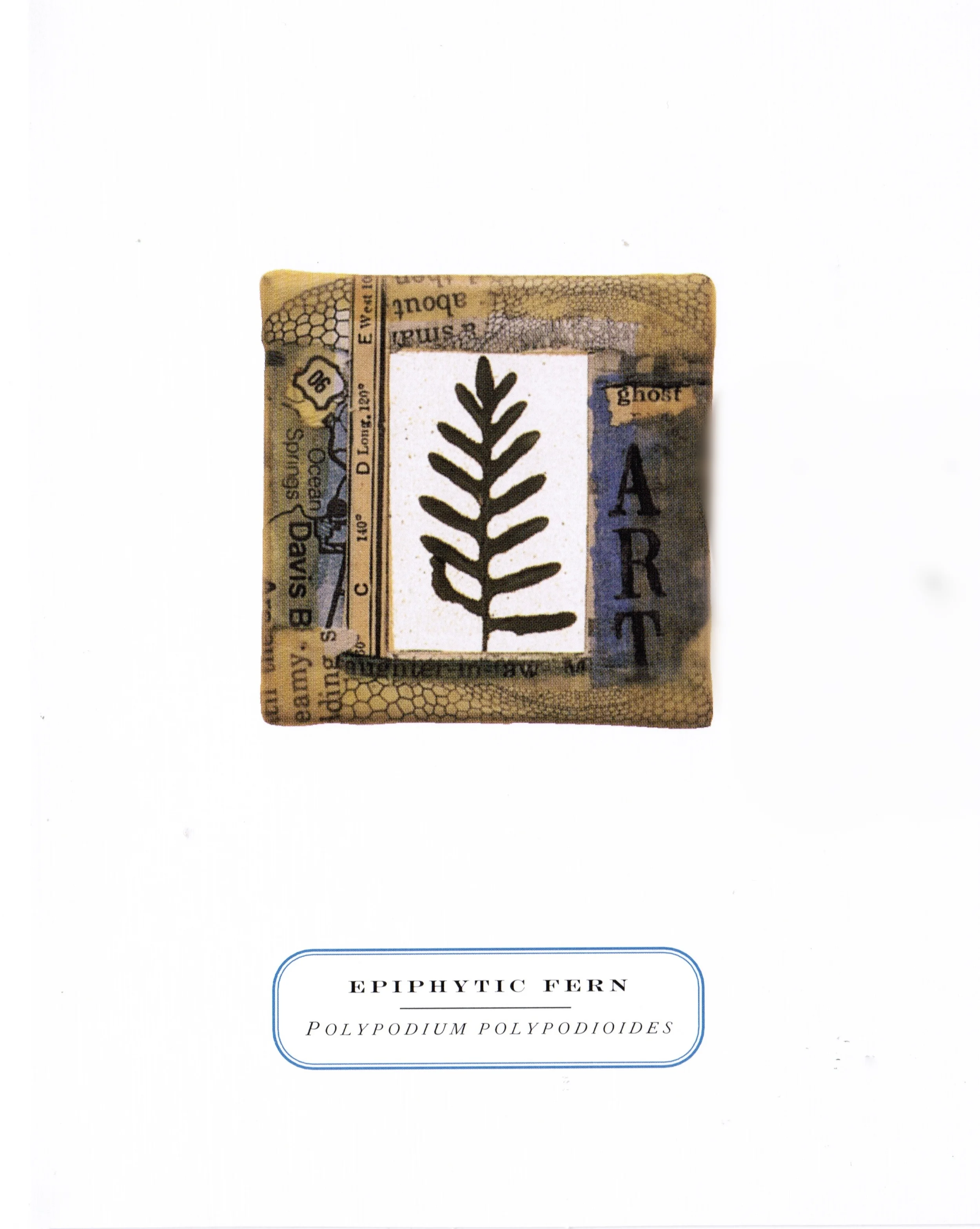 ART FERN.jpg