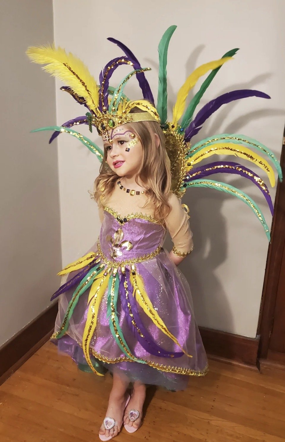 Little Miss Indiana Mardi Gras Pageant Dress