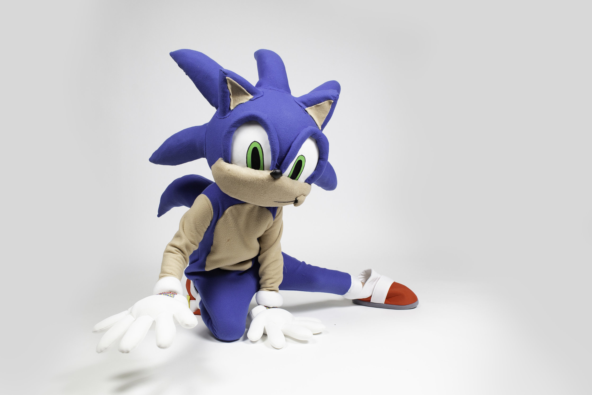 Sonic-010.jpg