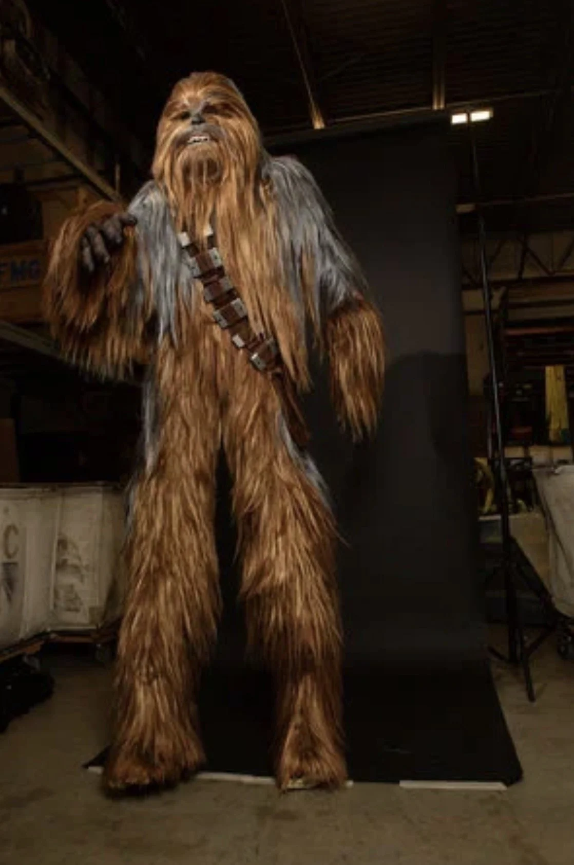 Chewy
