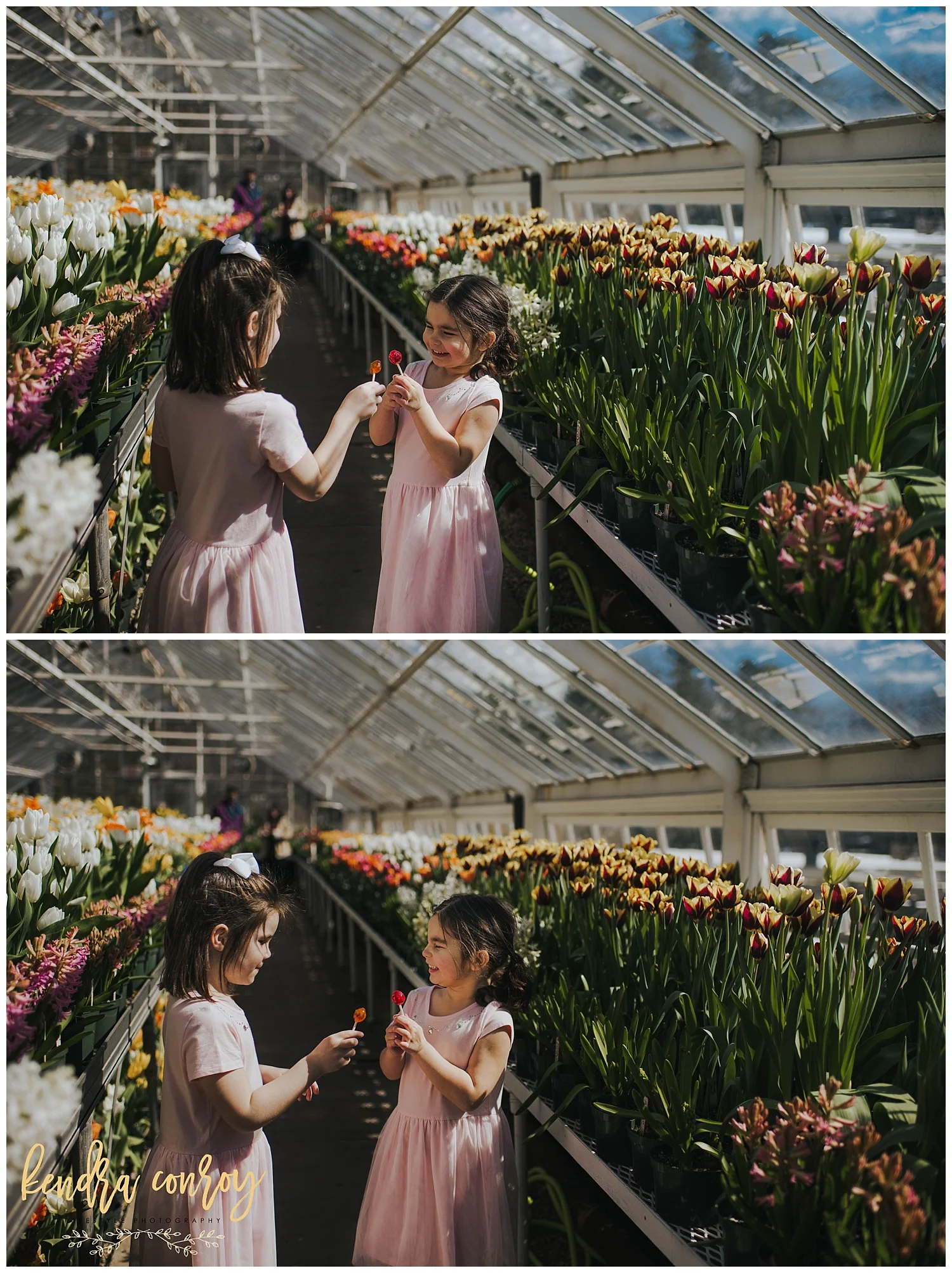 FairfieldCountyCtFamilyPhotographerKendraConroyPhotography