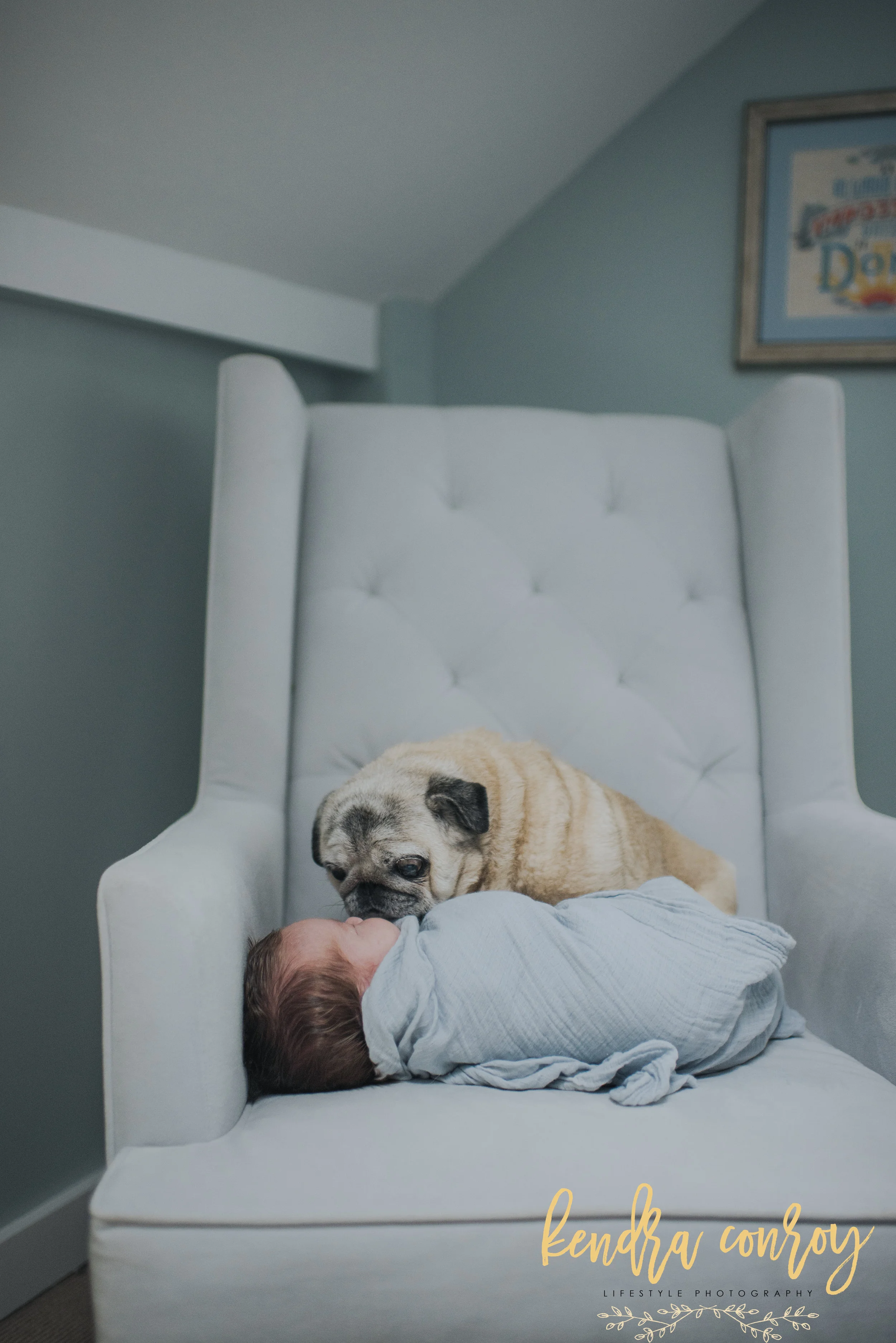 NewtownCtfamilyandnewbornphotographerKendraConroyphotography