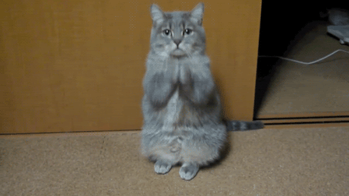 4.gif