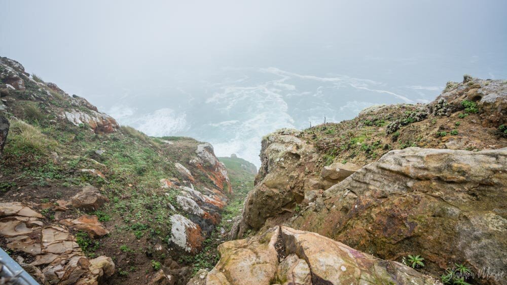 Point Reyes Cliffside