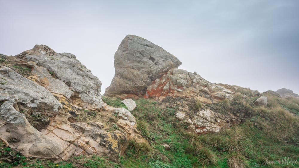 Pacific Coast Terrain