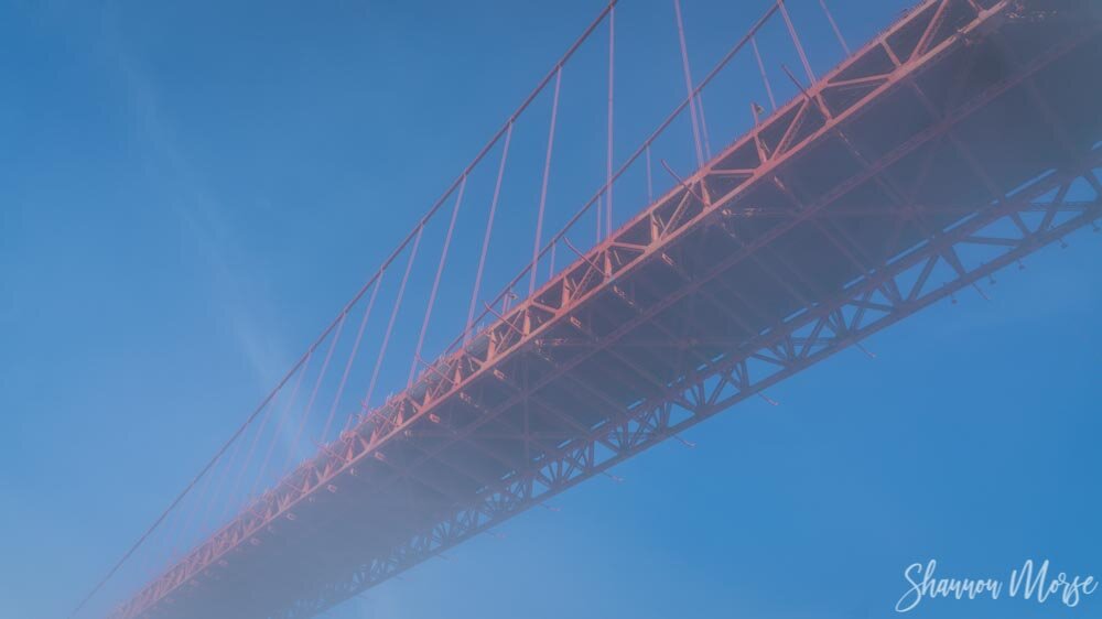 Under The Golden Gate