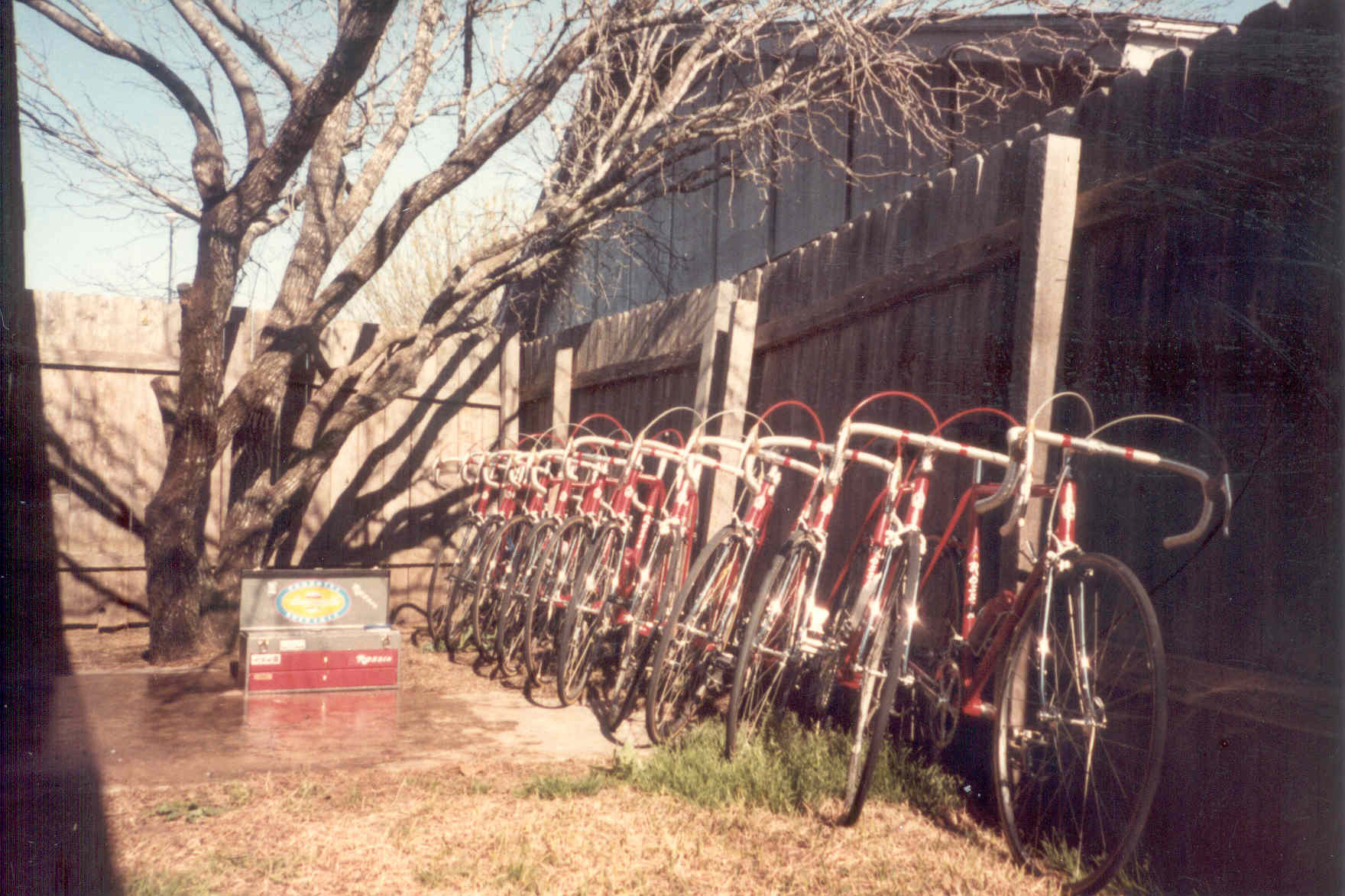 Bikes-austin.jpg