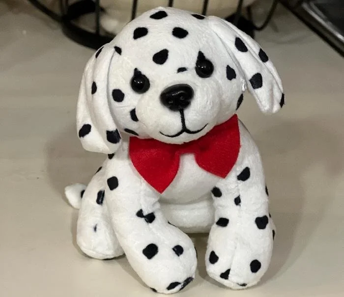 PRESS — Historic Owego Marketplace