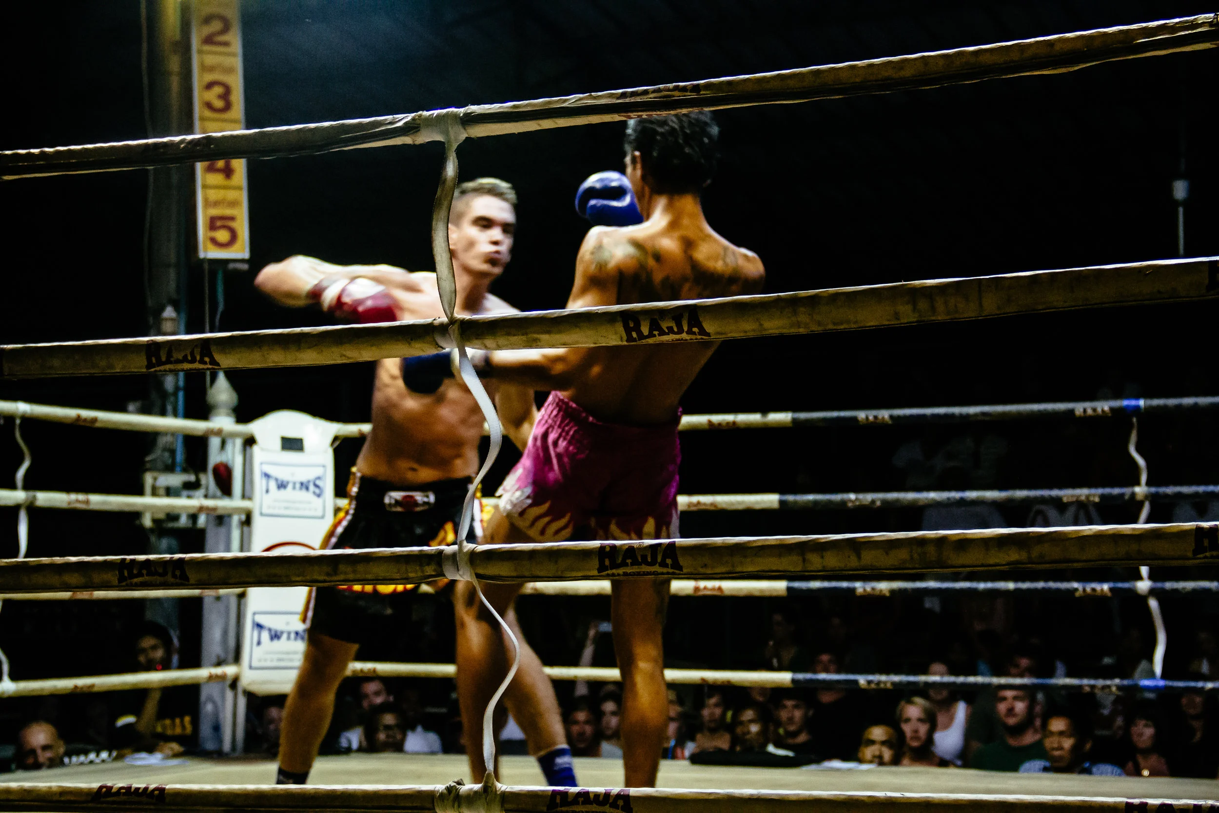 20111229_01181-1.jpg