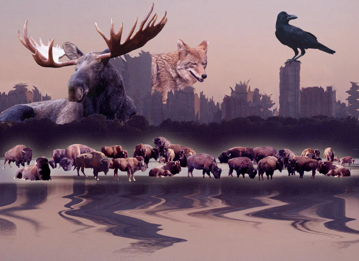 trickster city // digital collage, 2014