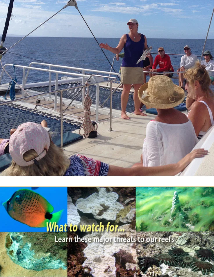 Blue’aina teams with TC Kokua to raise $1000 for the Eyes of the Reef and Hawaiian Island Land Trust