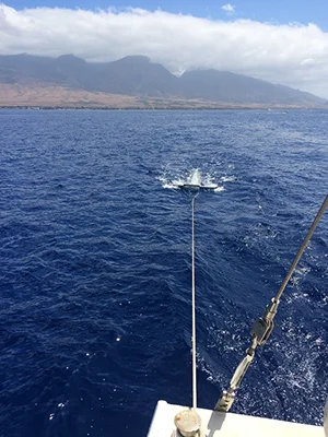 Manta Trawl RS