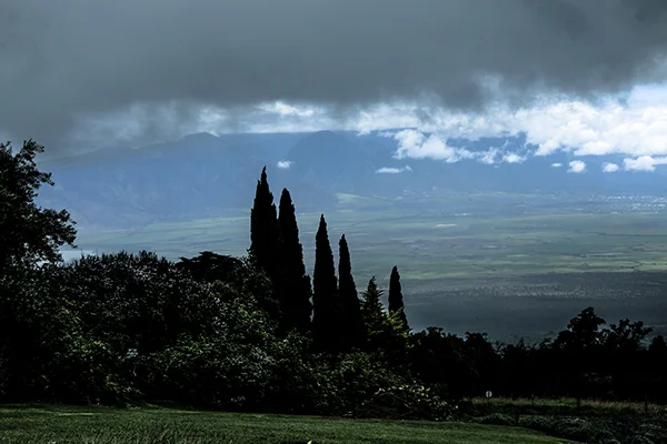 Earth Day Photo