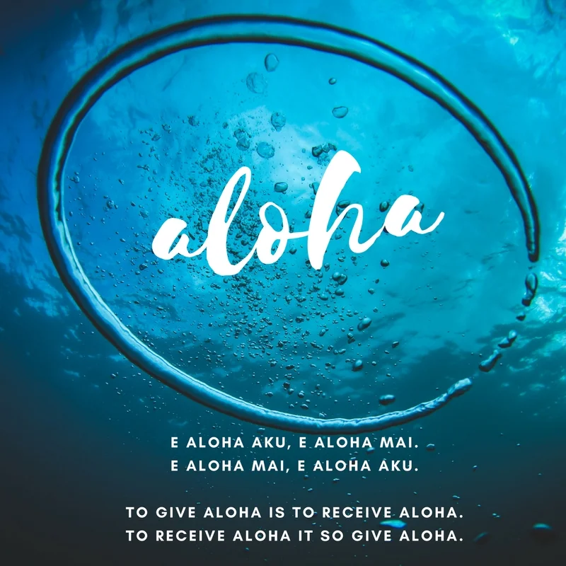 aloha copy.jpg