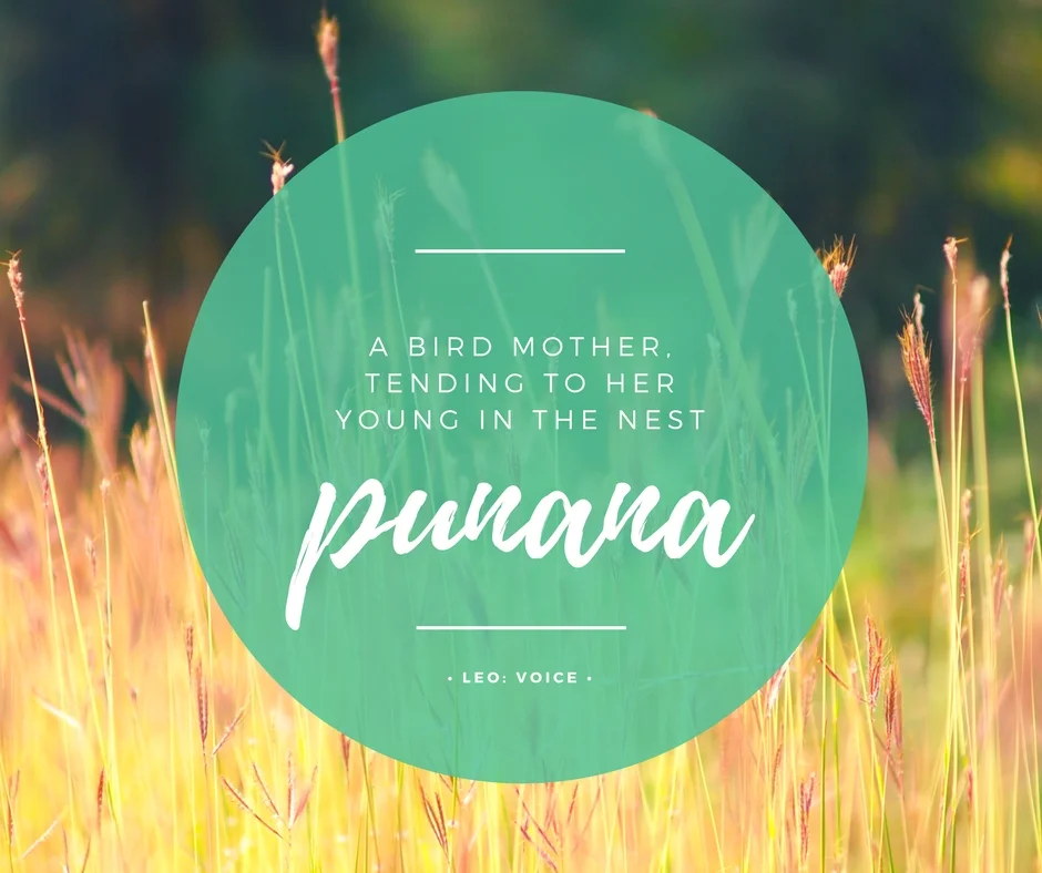 punana_.jpg