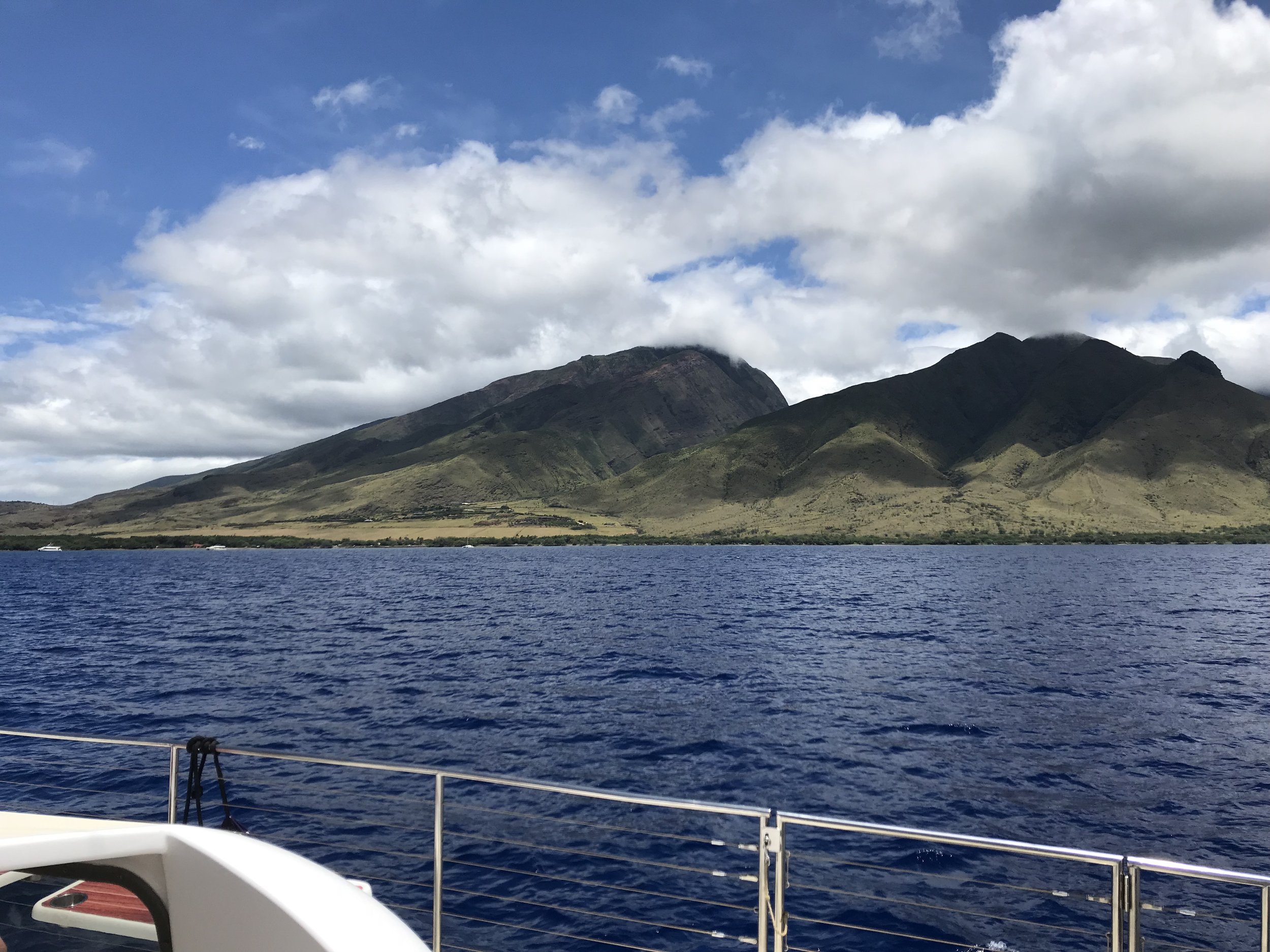 Blue'Aina with Malama Kai Foundation and Trilogy