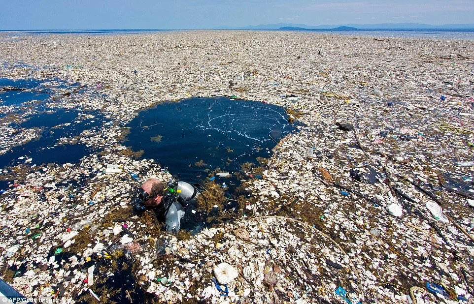 plastic-island.jpg