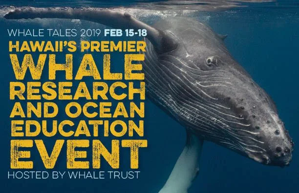 Whale-Tales-2019-Graphic.jpg