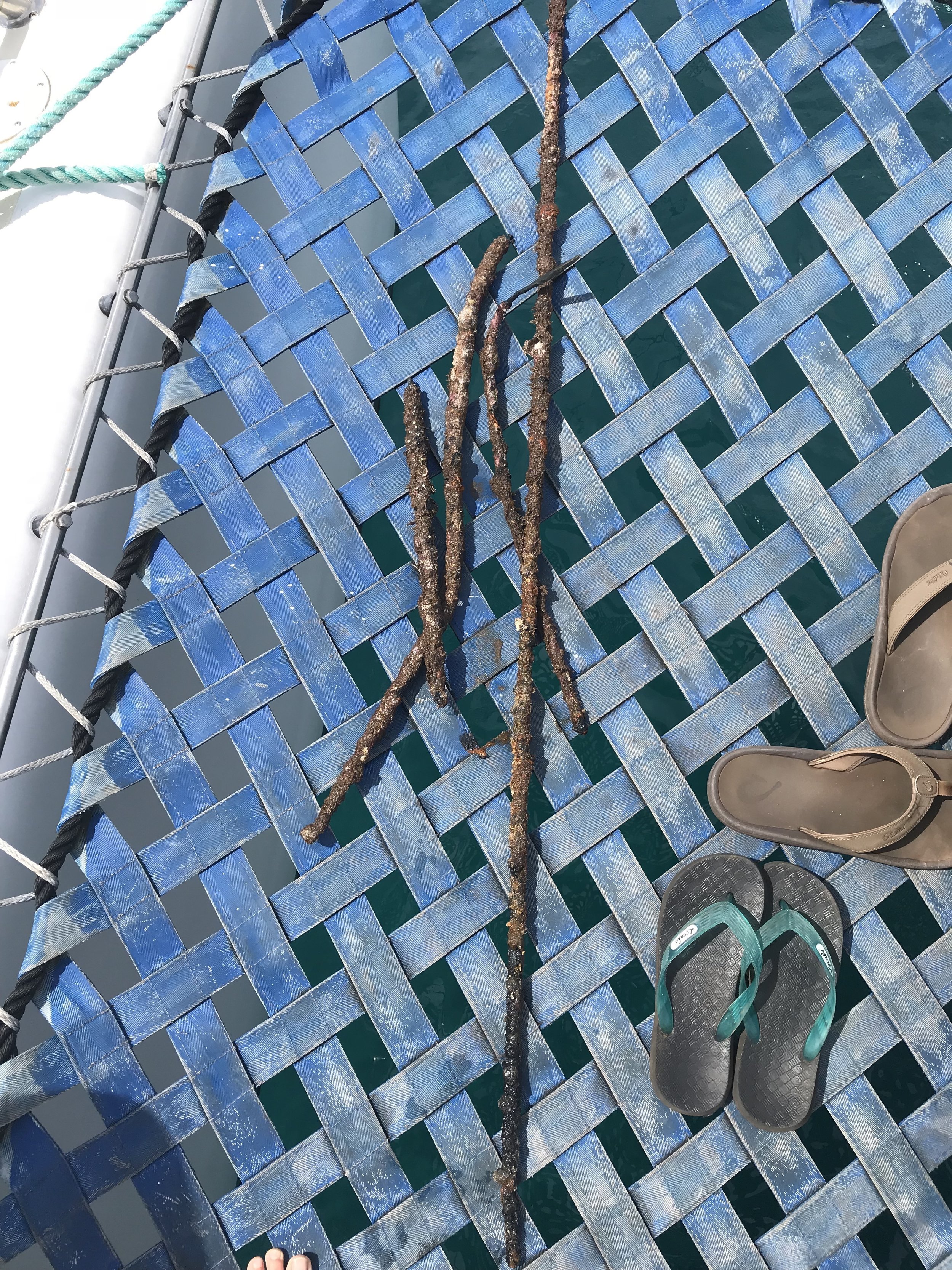 Blue'Aina with Lehualani Center &amp; the Kimokeo Foundation