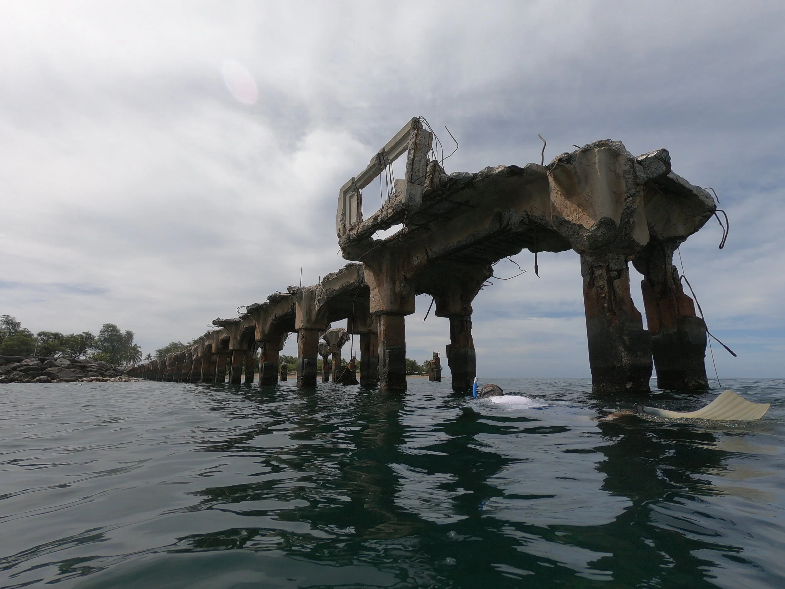 Blue’Aina Cleans Mala Wharf with Sponsor Skyline Eco Adventures for Pacific Cancer Foundation