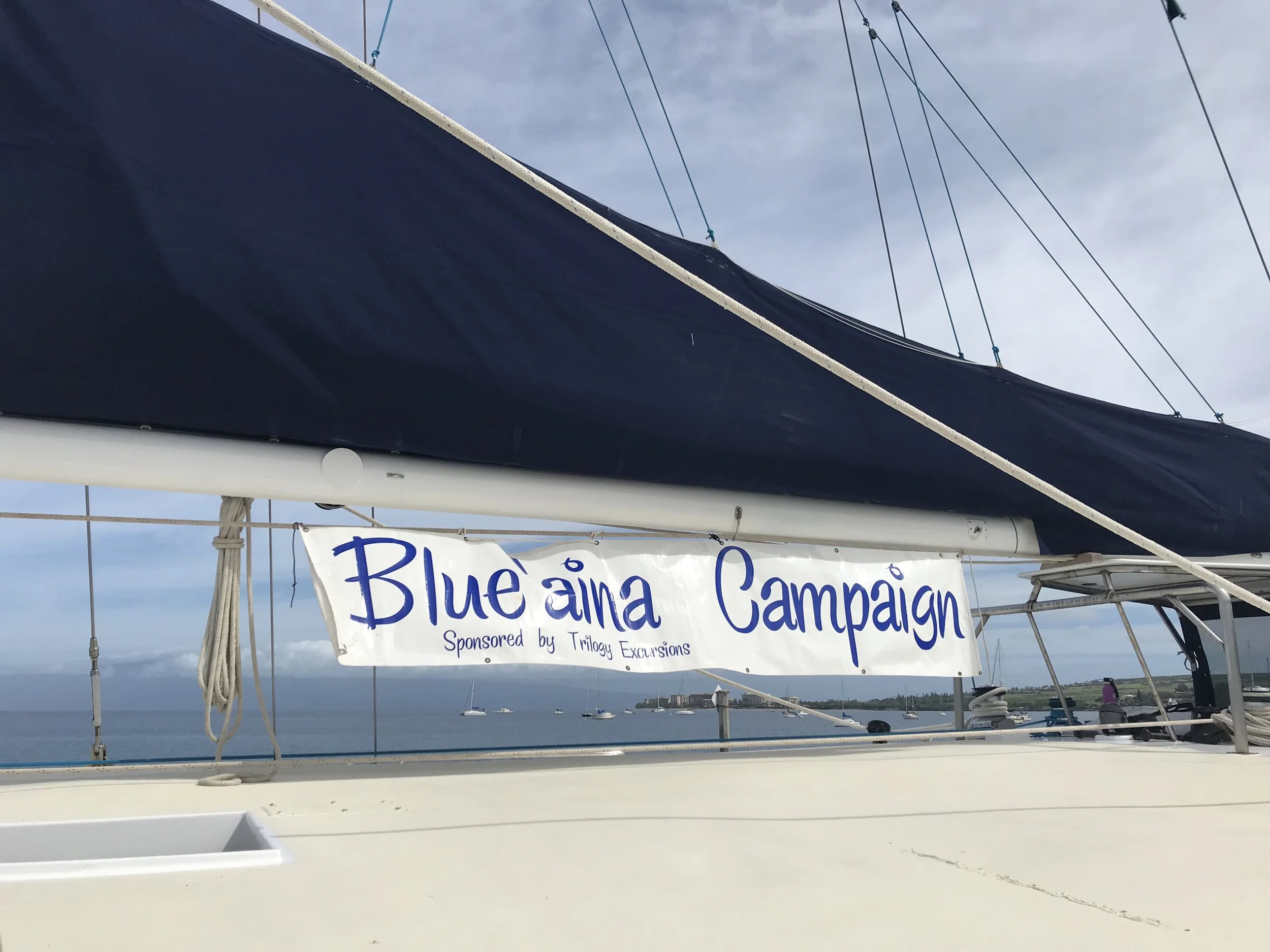 Blue'Aina Hosts Lahaina Harbor Clean Up, with Sponsors Montage Kapalua Bay Hotel and Sea Horse Restaurant Benefiting Charity Walk