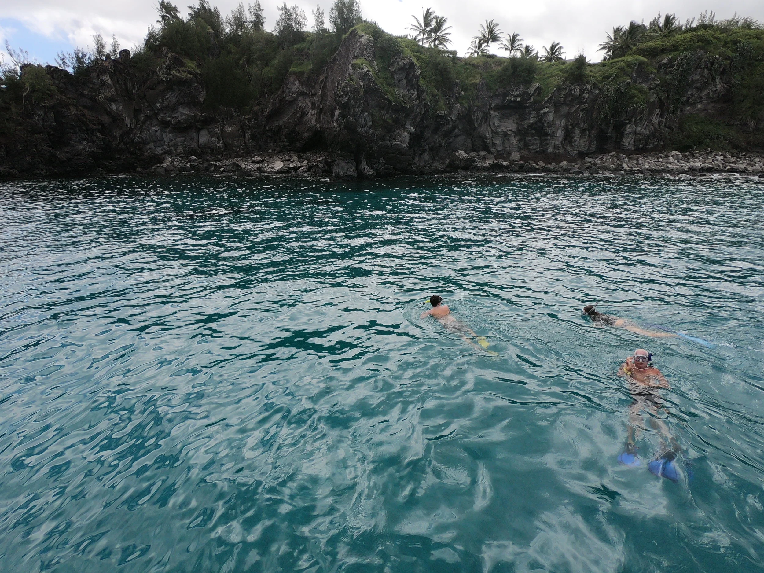 Blue‘Aina teams up with Goodfellow Brothers to Raise $1000 for East Maui Watershed