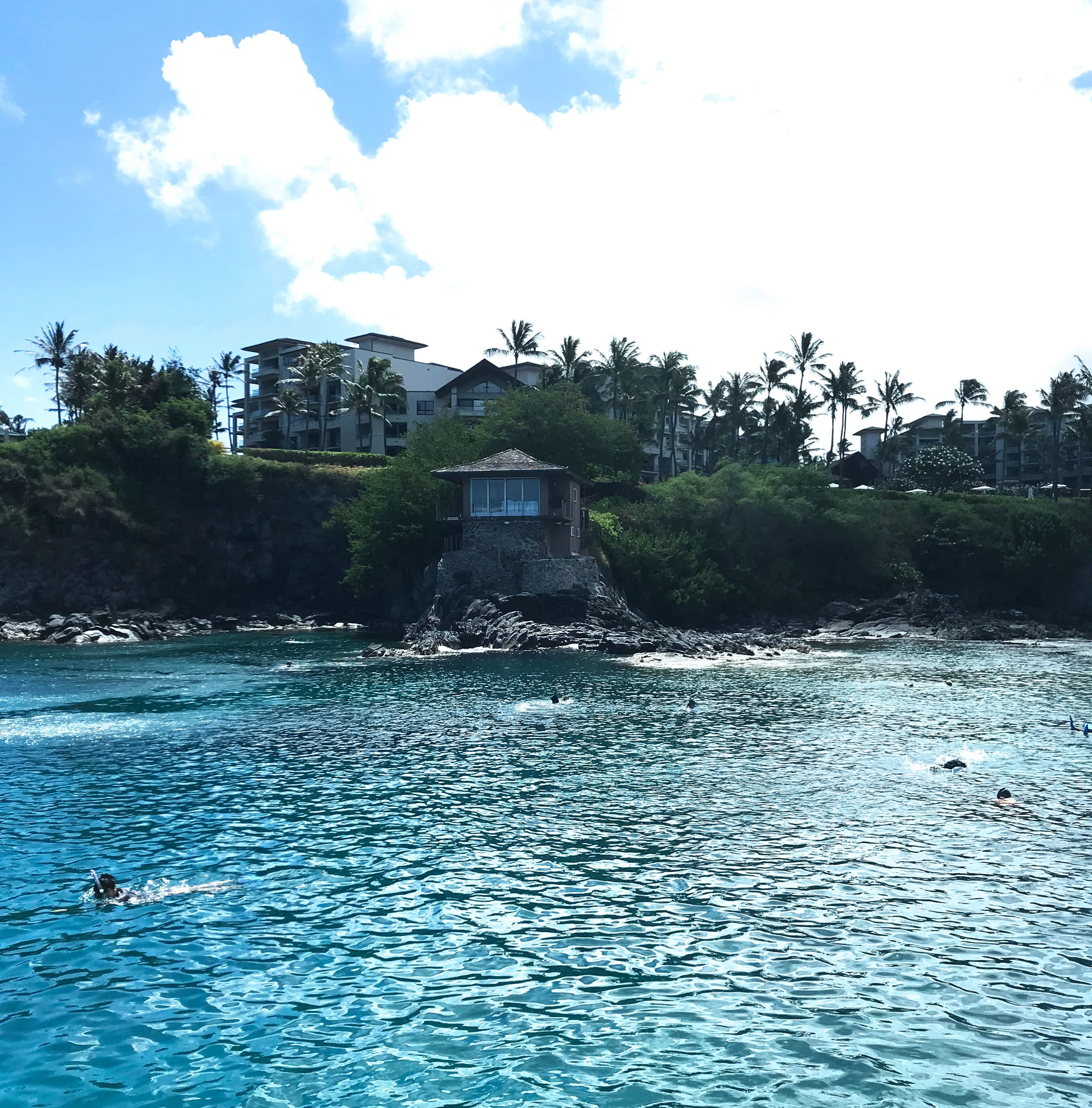 Blue ‘Aina, Goodfellow Brothers, and The Sea House Restaurant Raise $1,000 for Plant A Wish Foundation