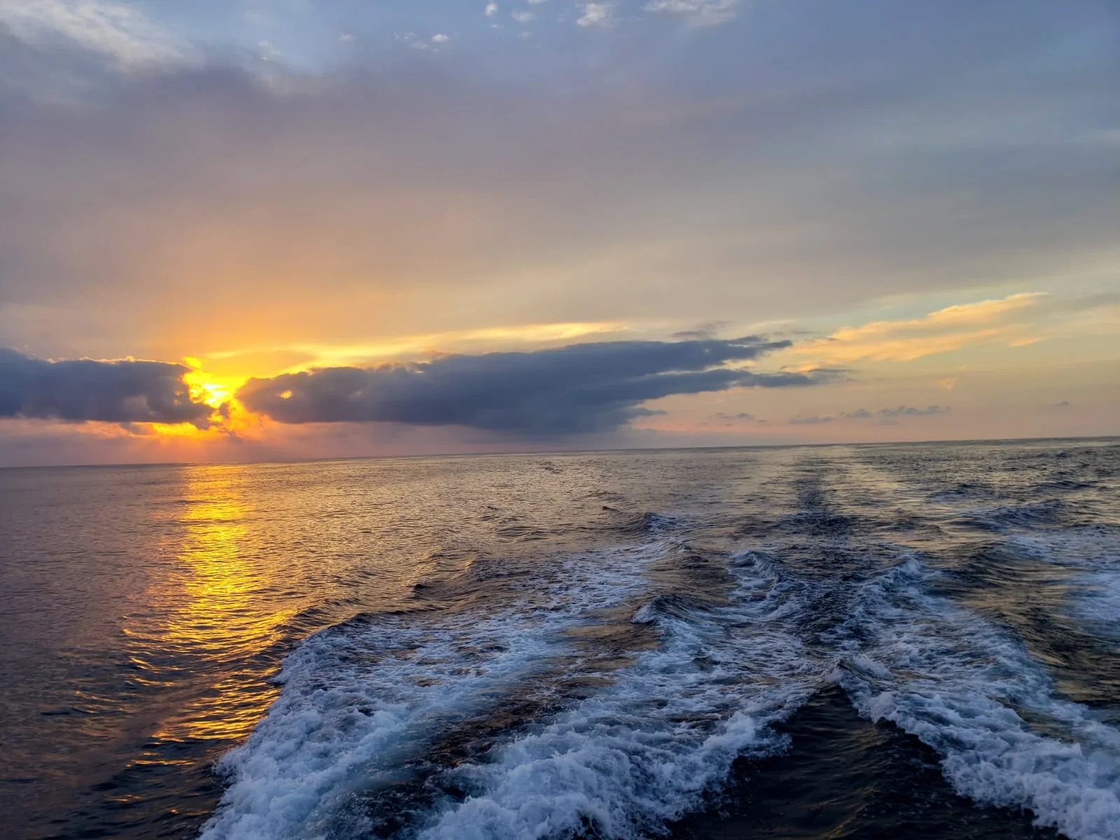 T1 Ocean Crossing Entry #4: Adios Cabo, Hello Headwinds!