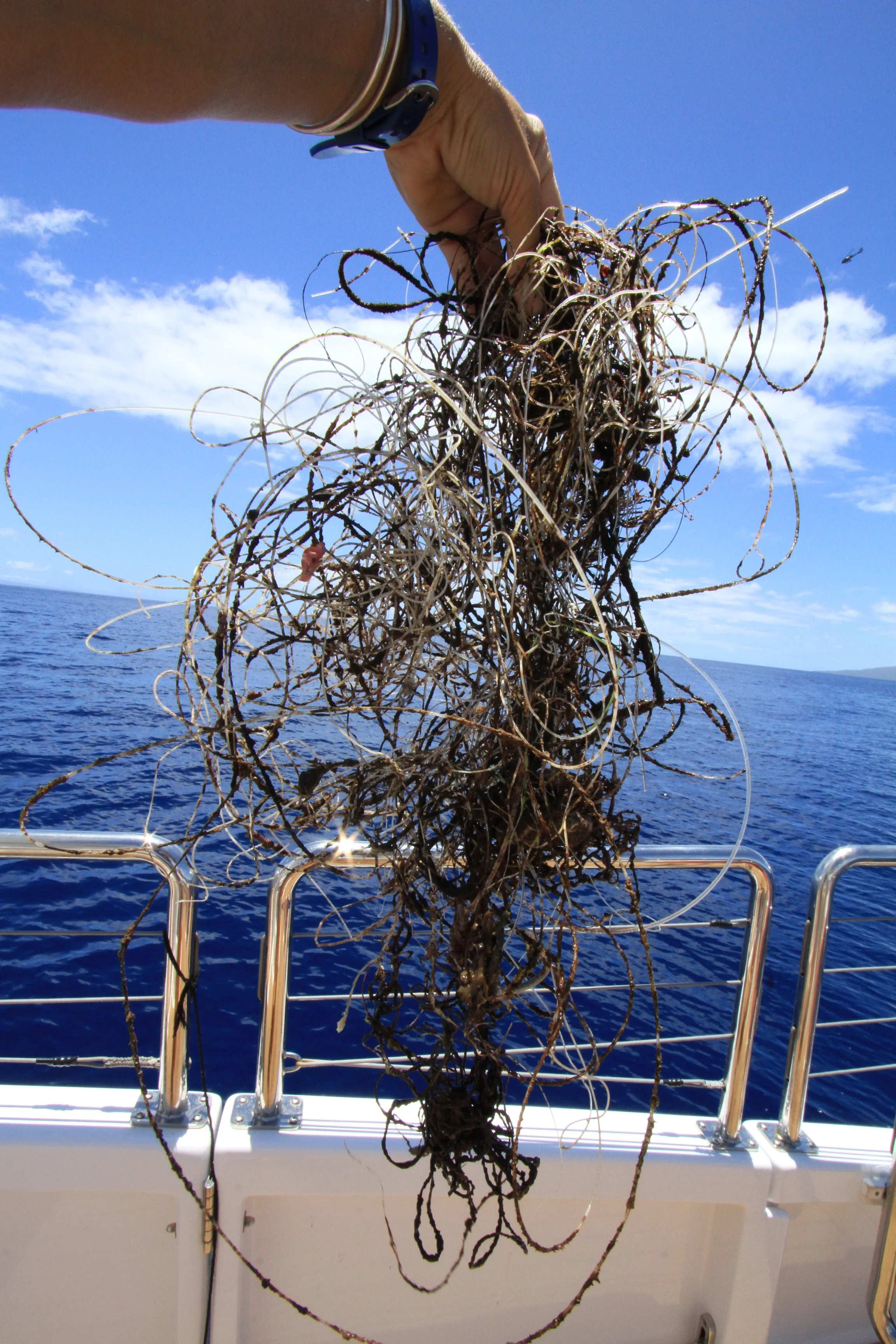 Kuleana &amp; Promoting Sustainability 