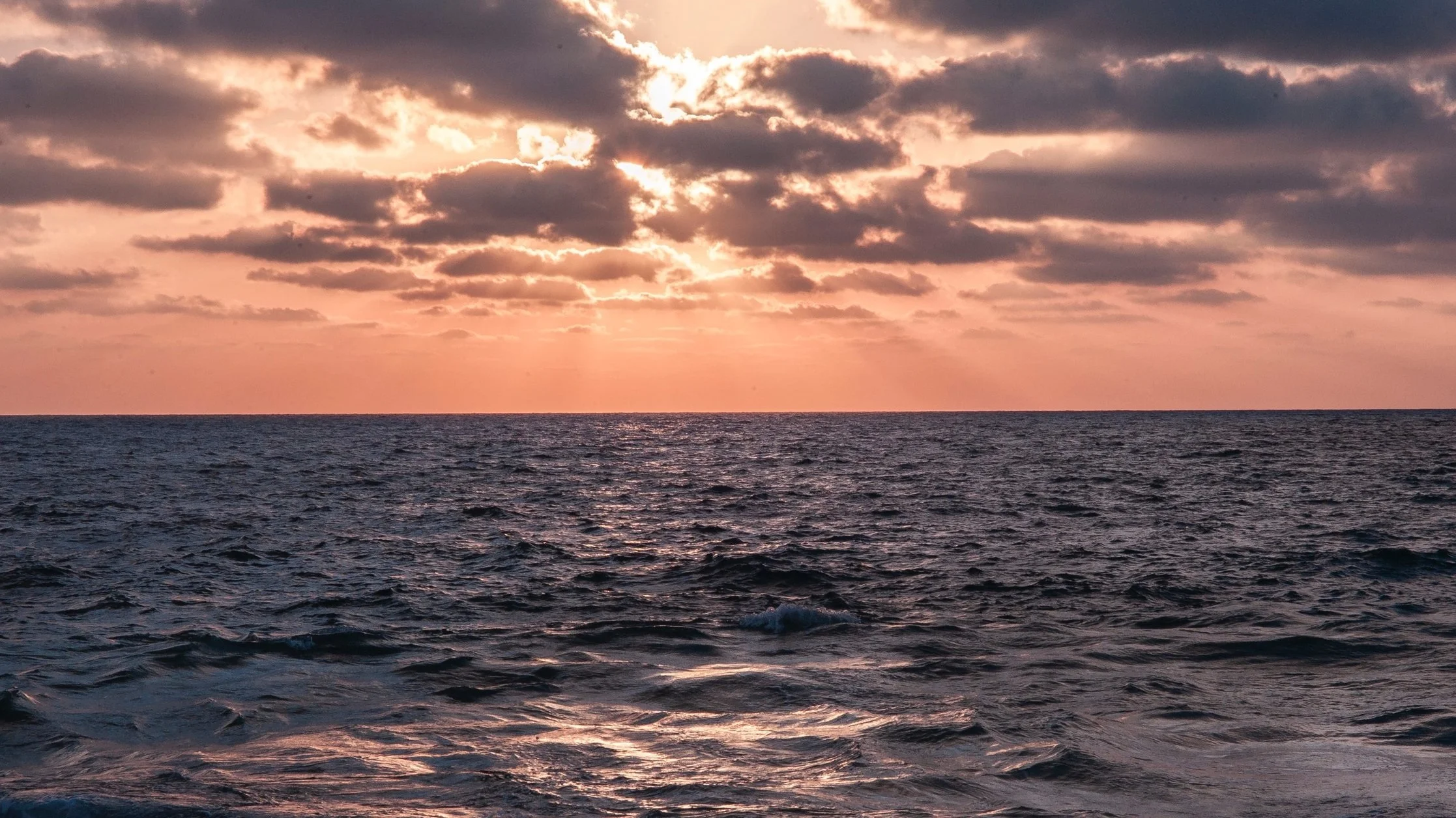 Trilogy V Crossing Blog #3: Wind, Dolphins, and Yahtzee