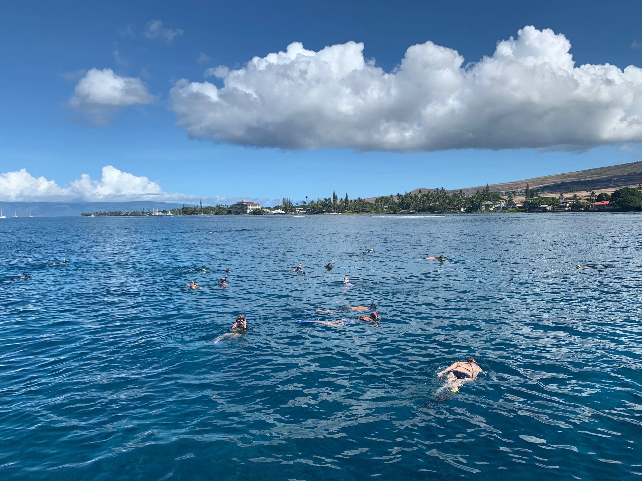 Blue'Aina with Trilogy Excursions
