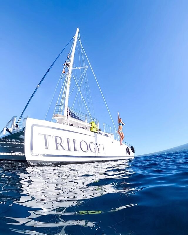 Who else is ready to jump into the holiday weekend a little early?? 💦🌊🤚#wemissthis #sailtrilogy⁠
.⁠
.⁠
.⁠
.⁠
.⁠
#DiscoverKaanapali #Trilogy #snorkel #sailing #SNUBA #ocean #underwater #snorkeling #swim #diving #adventure #hawaii #vacation #freediv
