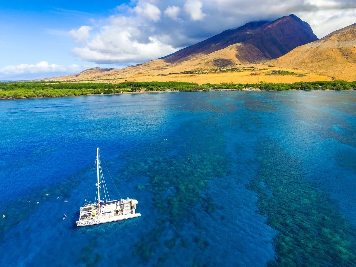 *New* Maui Snorkeling Tour: Discover West Maui Snorkel!