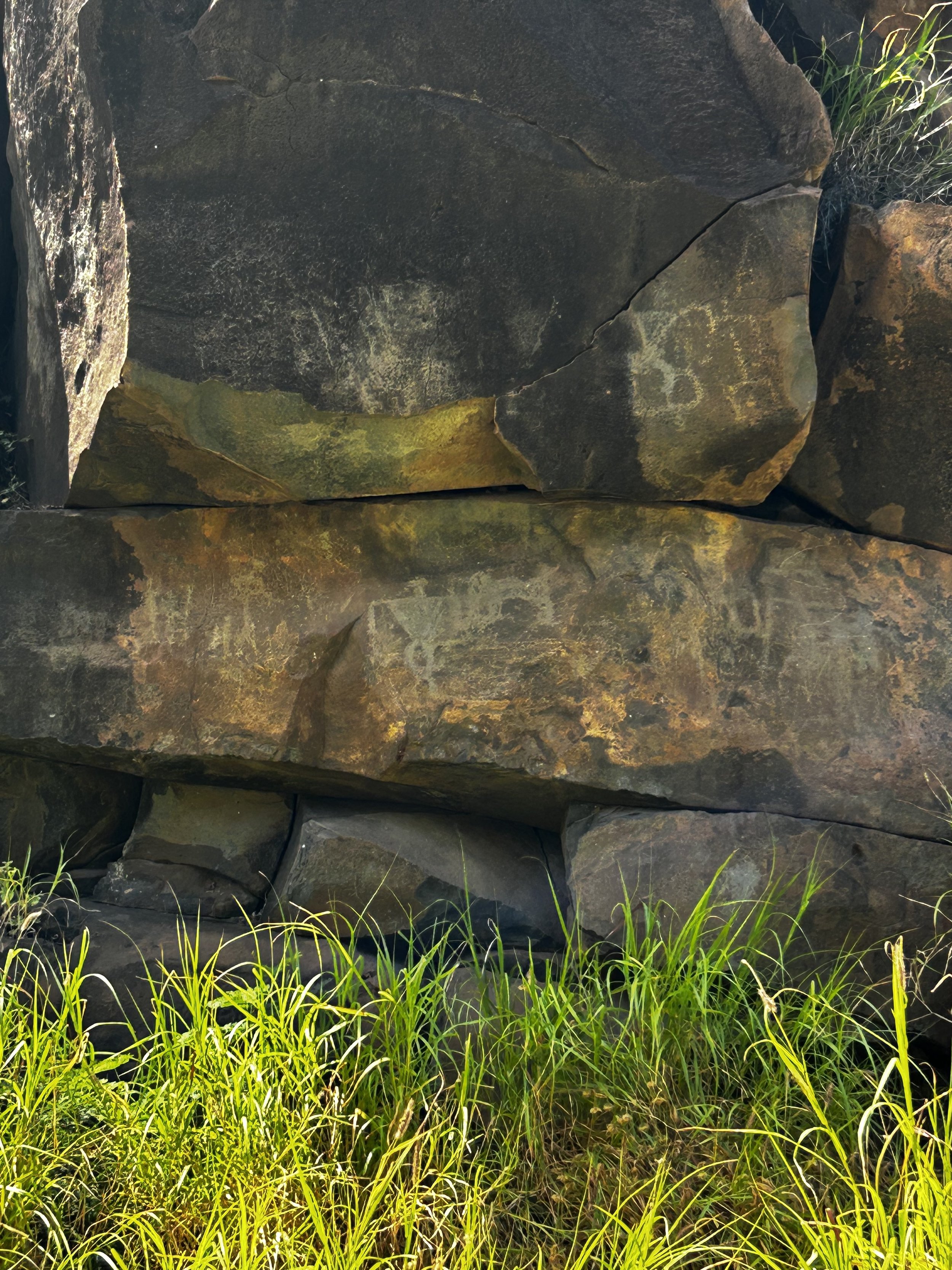 Olowalu Petroglyphs 