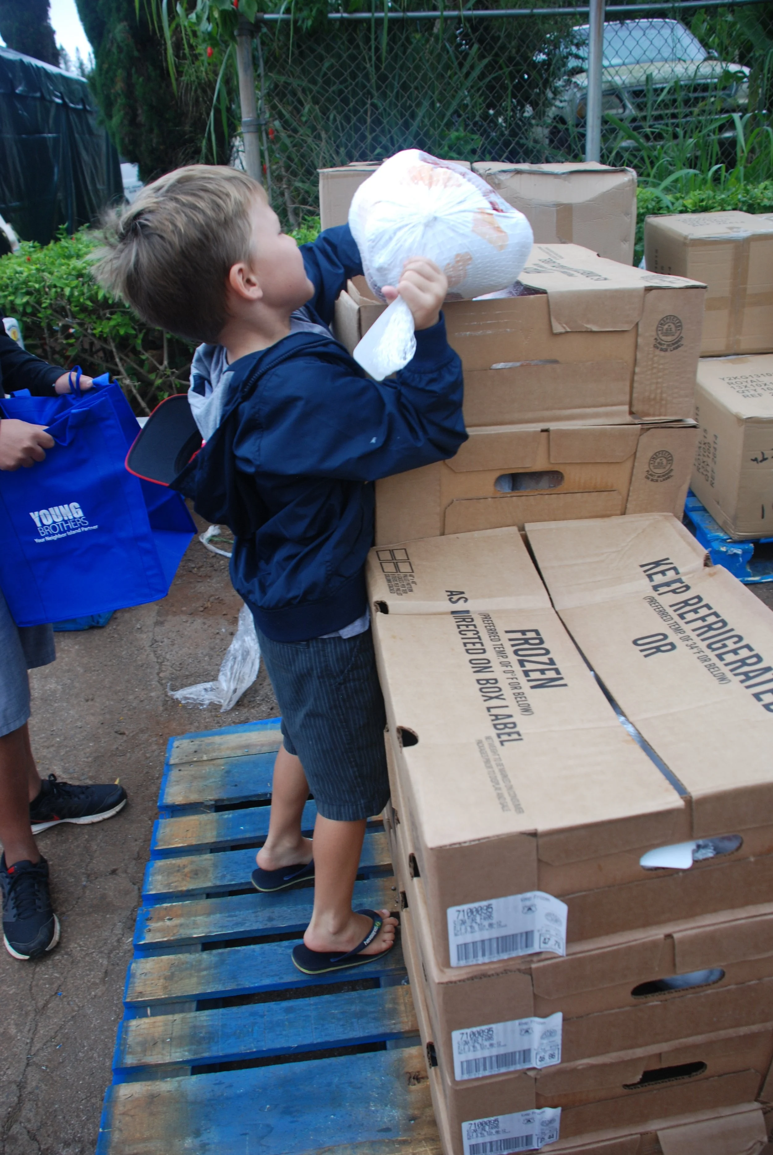 Turkey Giveaway 2018