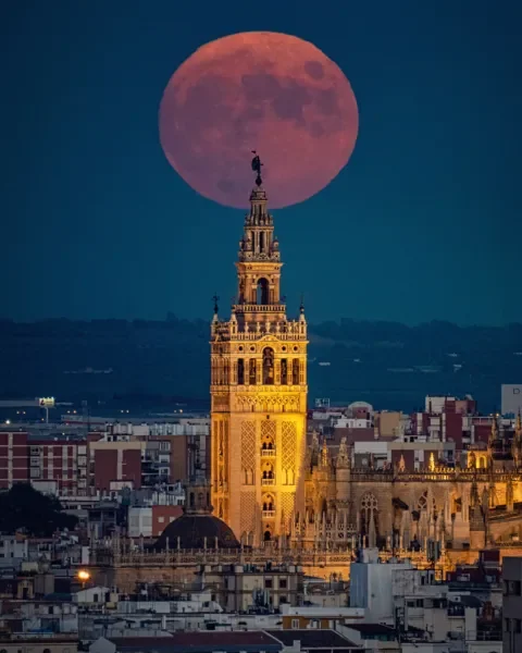 2022-moon-pictures-david-pineda.webp