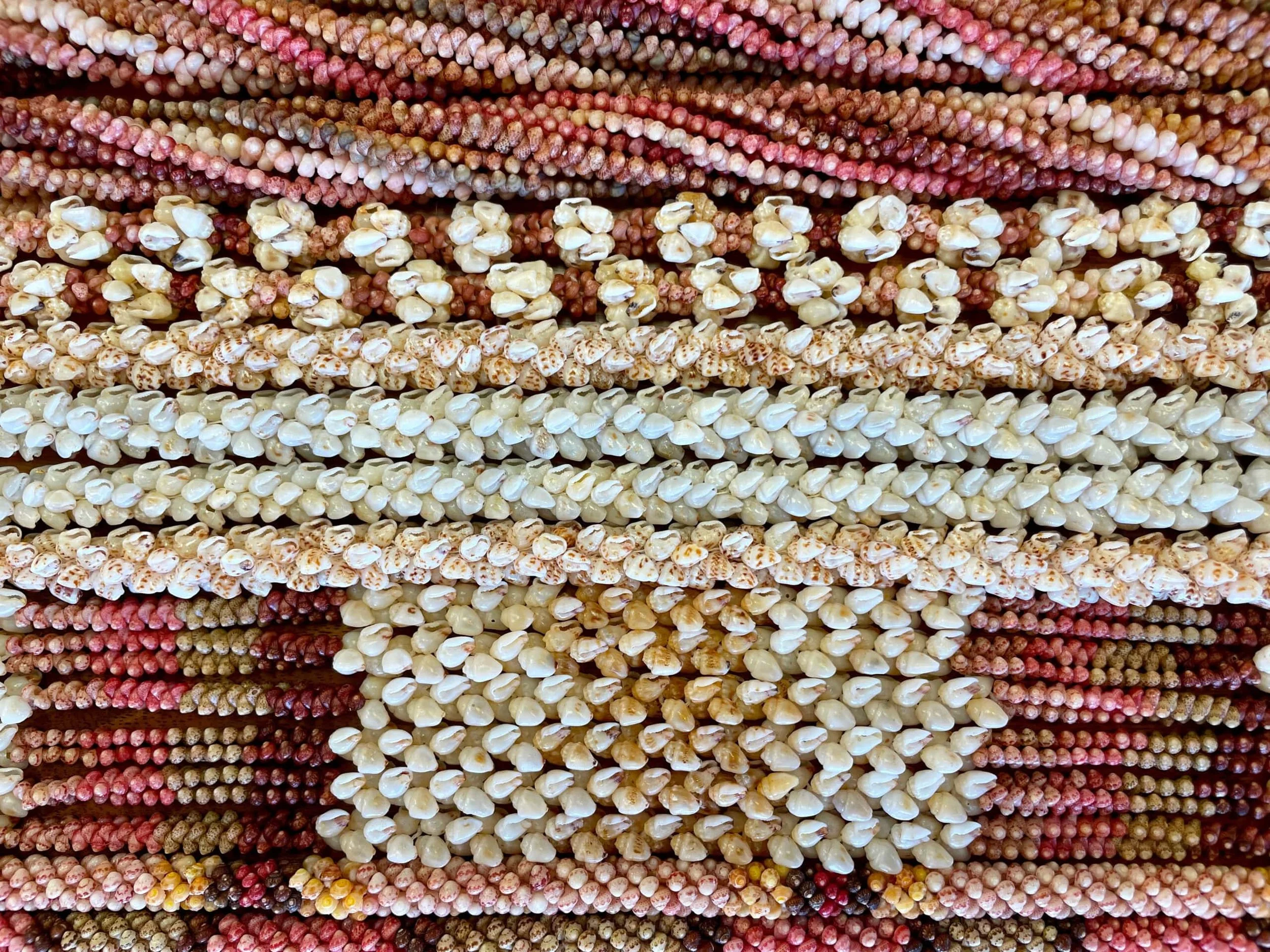Pūpū shells for Ni'ihau 