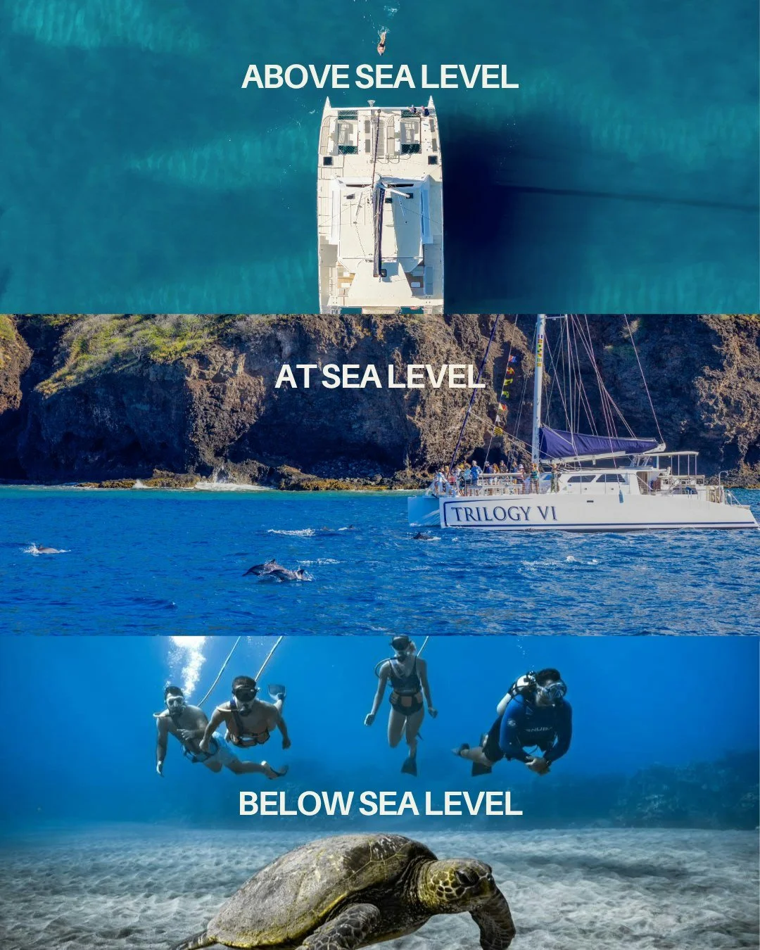 Our tours from every angle. 🌊

Above sea level. At sea level. Below sea level.
Rock. Sand. Grass.
Sunrise. Midday. Sunset.

Which are you choosing?

⛵ Experience Maui and Lānaʻi with Trilogy Excursions

#TrilogyExcursions #Maui #MauiHawaii #MauiActi