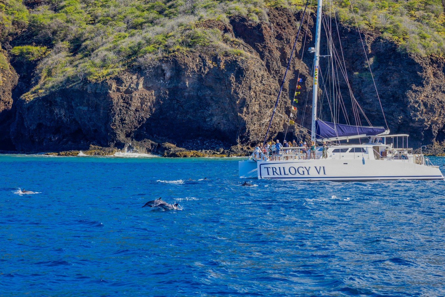 One of the best surprises on our Lānaʻi Adventure Snorkel? When these guys decide to join us for part of the ride. 🐬⛵️

There&rsquo;s never a guarantee of who we&rsquo;ll meet along the way &mdash; which makes moments like this even better.

📍 Lāna