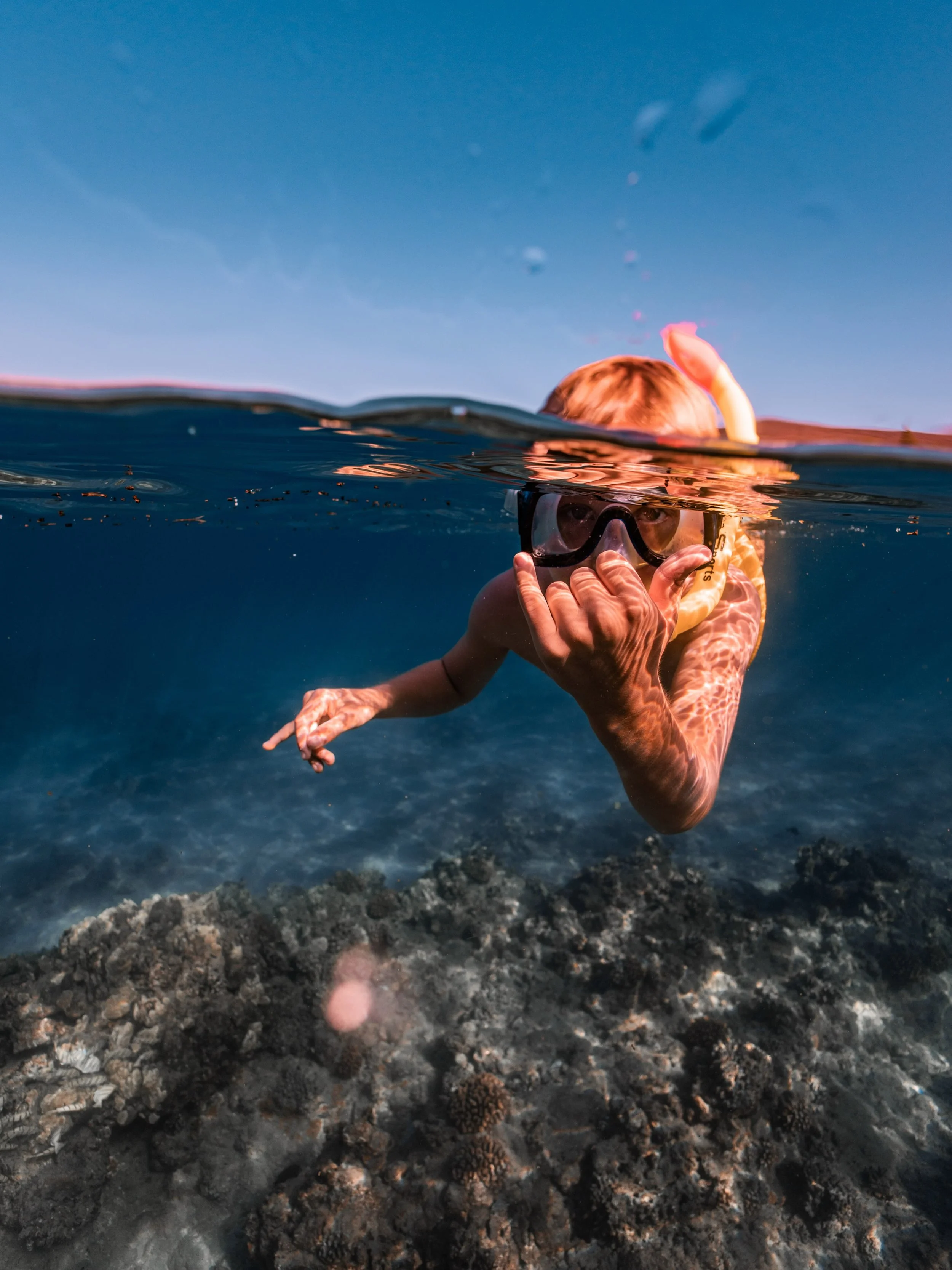 Sail Special: BOGO 50% OFF on our 9/3 Turtle Reef Snorkel! ✨🐢

Join us Thursday for our newest snorkel sail, Turtle Reef Snorkel, departing from Mā&rsquo;alaea Harbor at 8:30am! 💙

🌟 Call us at 808-874-5649 to reserve your spot!

What to expect on