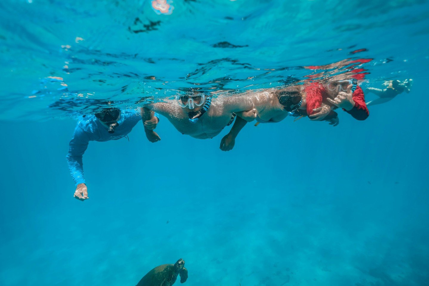 POV: A Honu wants to join your family photo🐢 

We do our best to give honu plenty of room&mdash;but sometimes, they have other plans. 😂

NOAA recommends staying at least 10 feet (3 meters) from sea turtles, both on land and in the water. Honu are p