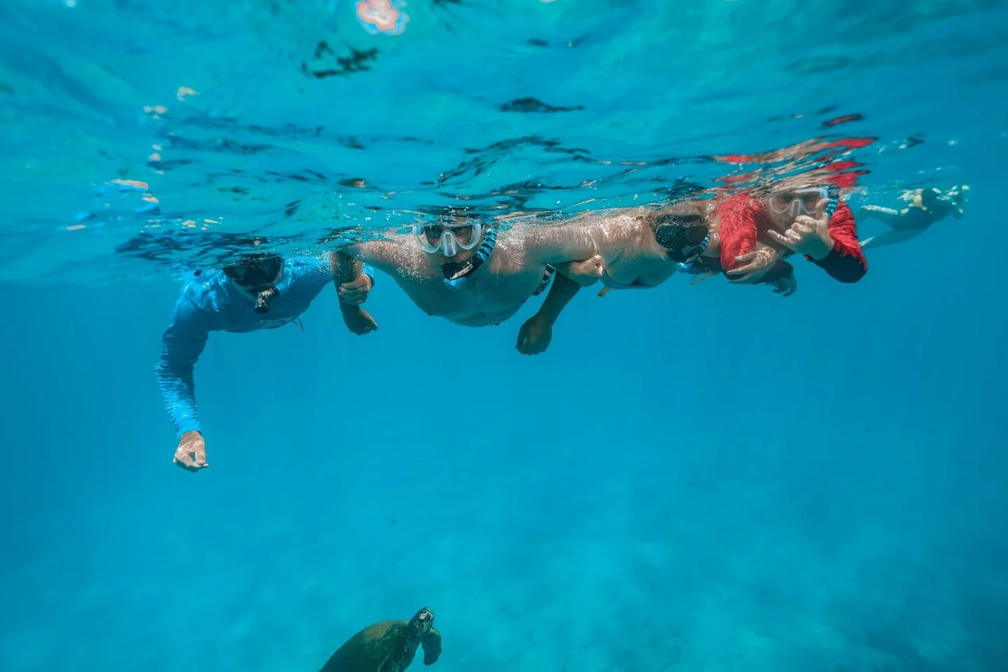 POV: A Honu wants to join your family photo🐢 

We do our best to give honu plenty of room&mdash;but sometimes, they have other plans. 😂

NOAA recommends staying at least 10 feet (3 meters) from sea turtles, both on land and in the water. Honu are p