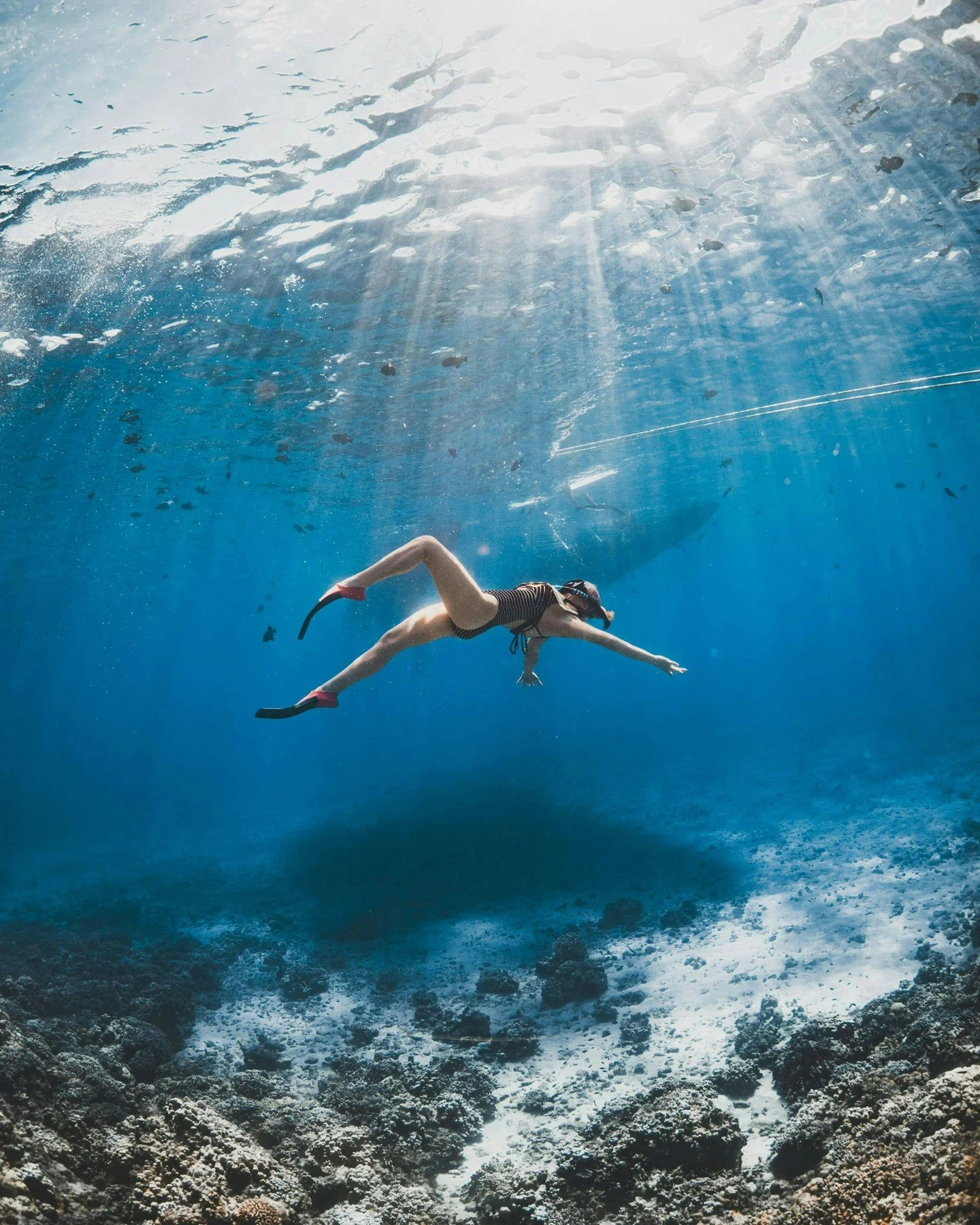 Turn the ocean into your stage. 🌊

No bad seats, no wrong moves &mdash; just you, the Pacific, and a whole lot of blue.

A few of our favorite moments from guests exploring Maui with us lately.

#TrilogyExcursions #MauiSnorkeling #MauiHawaii #WestMa
