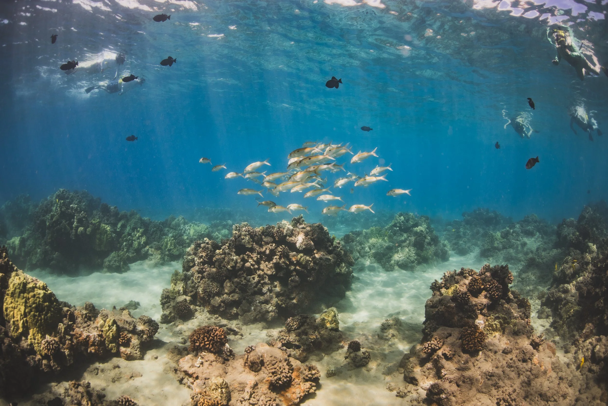 Snorkeling on Lanaʻi