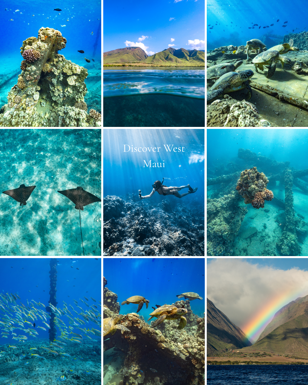 discover west maui mood board